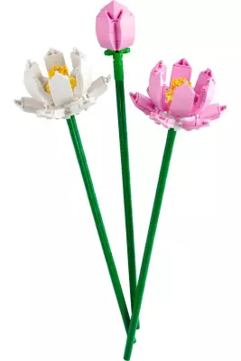 LEGO Flowers Iconic Lotus Çiçekleri 40647 - Dekoratif, Koleksiyonluk ve Sergilenebilir Çiçek Modeli Yapı - 4