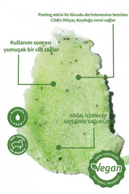Lucille %100 Vegan Yeşil Çay & Aloe Vera Aromalı Şekerli Body Scrub – 250 gr – Doğal Arınma, Derinlemesine Nem & Taze Bir Cilt - 2