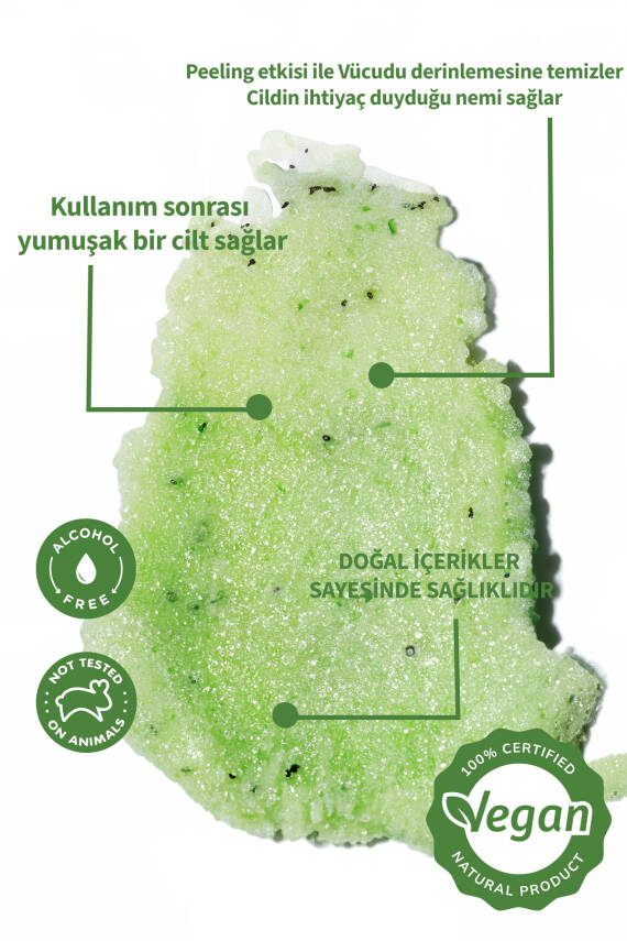 Lucille %100 Vegan Yeşil Çay & Aloe Vera Aromalı Şekerli Body Scrub – 250 gr – Doğal Arınma, Derinlemesine Nem & Taze Bir Cilt - 2