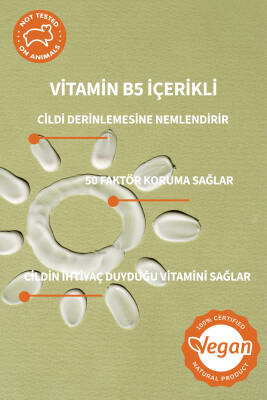 Lucille Güneş Kremi SPF 50 – UVA + UVB Koruma & Vitamin B5 İçerikli – 50 ml – %100 Vegan Formül - 2