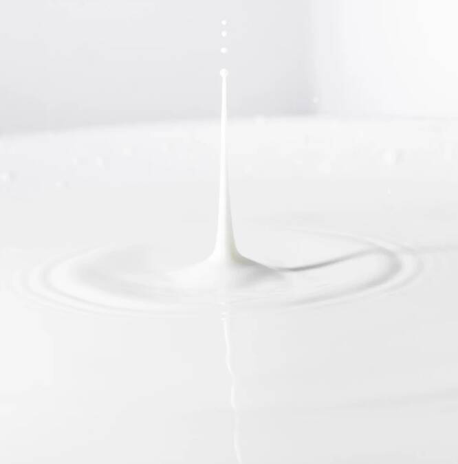 Lucille Keçi Sütü & Ballı Nemlendirici Vücut Losyonu – 250 ml – %100 Vegan Formül & Niacinamide İçerikli - 4